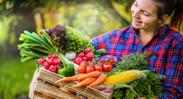 Person som håller en trälåda fylld med färska grönsaker, inklusive tomater, morötter, majs, rädisor, sallad och lök, i en trädgårdsmiljö.