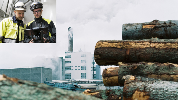 Två personer i skyddsutrustning som arbetar vid en industribyggnad, med staplade timmerstockar och fabriksbyggnader i bakgrunden.