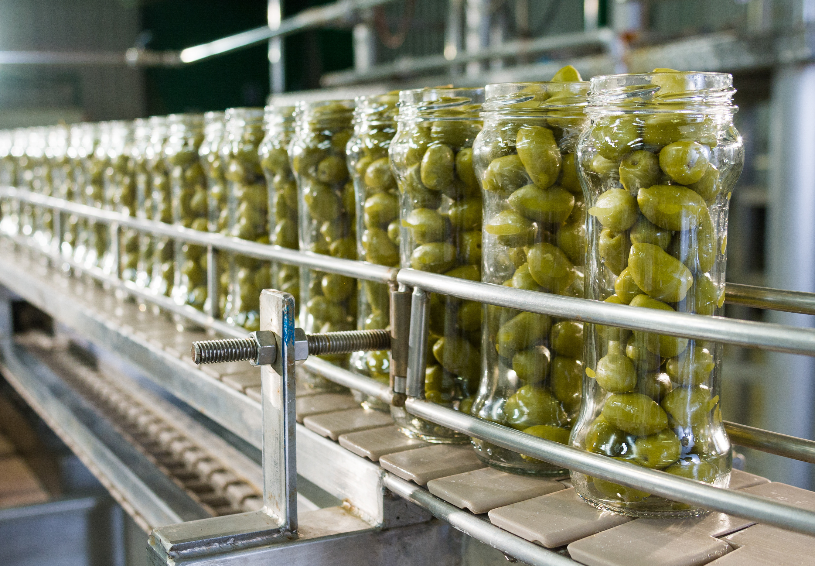 Row of glass jars filled with green olives on a conveyor belt in a food processing factory