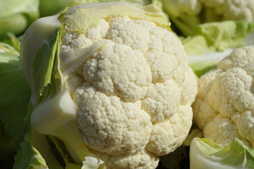 close-up of a cauliflower