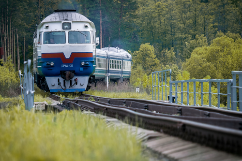 A train traveling through a green forest