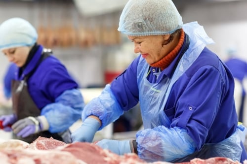 Mujeres trabajando en una fábrica de alimentos ISO 9001