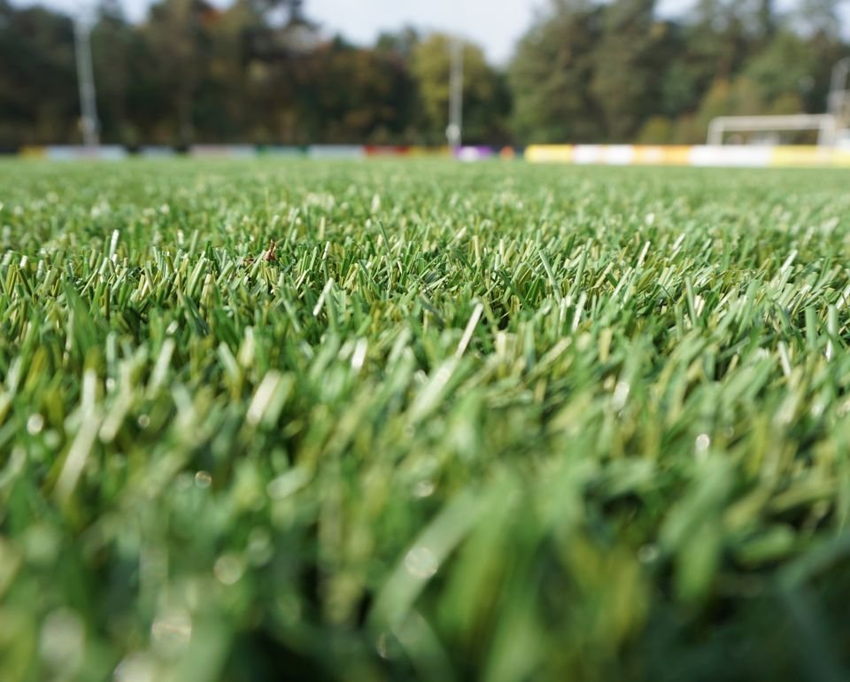 Groen grasveld op een voetbalveld met bomen op de achtergrond.