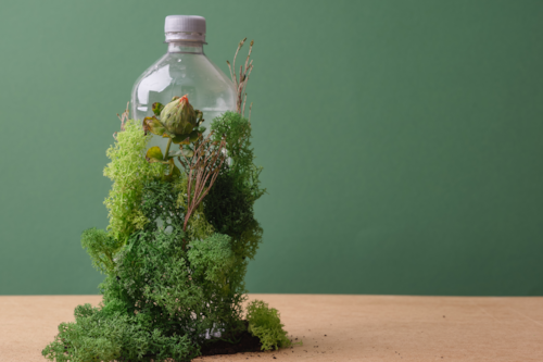 Plastic bottle with moss and flowers against a green background, symbolizing eco-friendly and sustainable practices