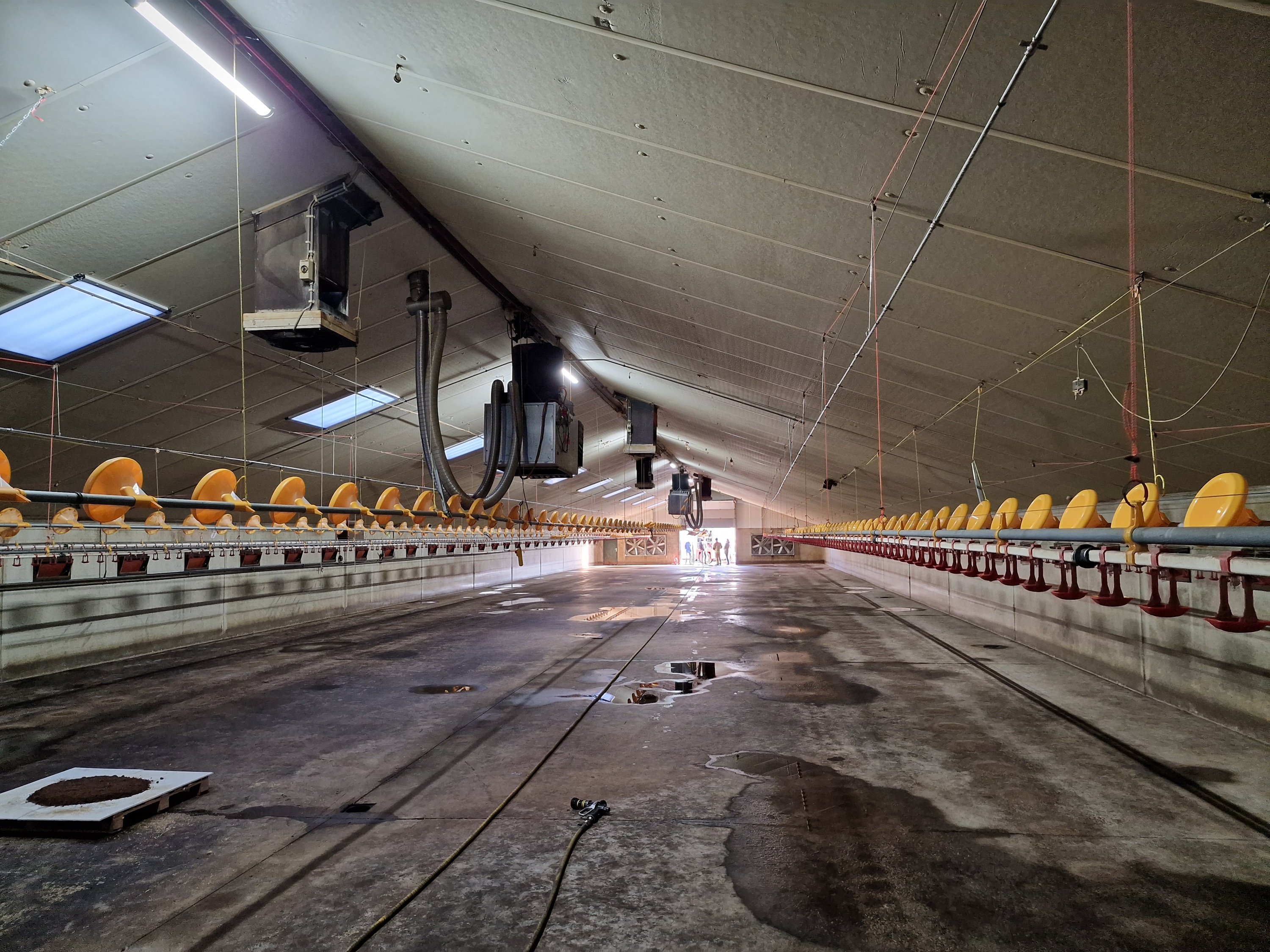 Brandveiligheid in stallen