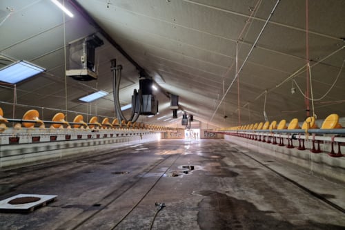 Brandveiligheid in stallen