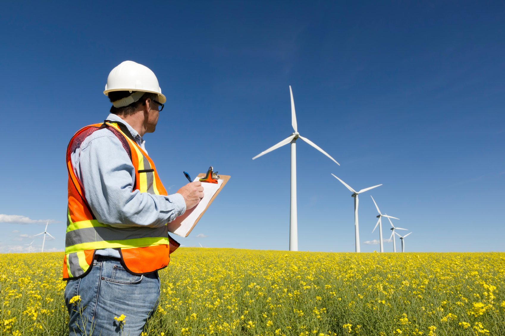 A Kiwa inspector holding a clipboard standing in front of a row of wind turbines prior to the wind turbine inspection