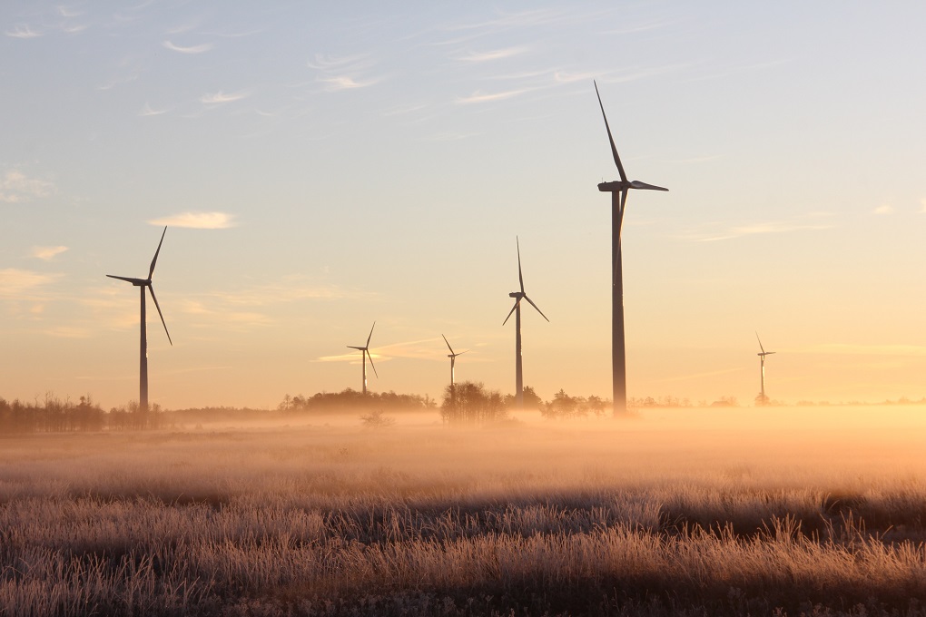 Kiwa inspected wind turbines in a foggy field during sunrise, generating renewable energy